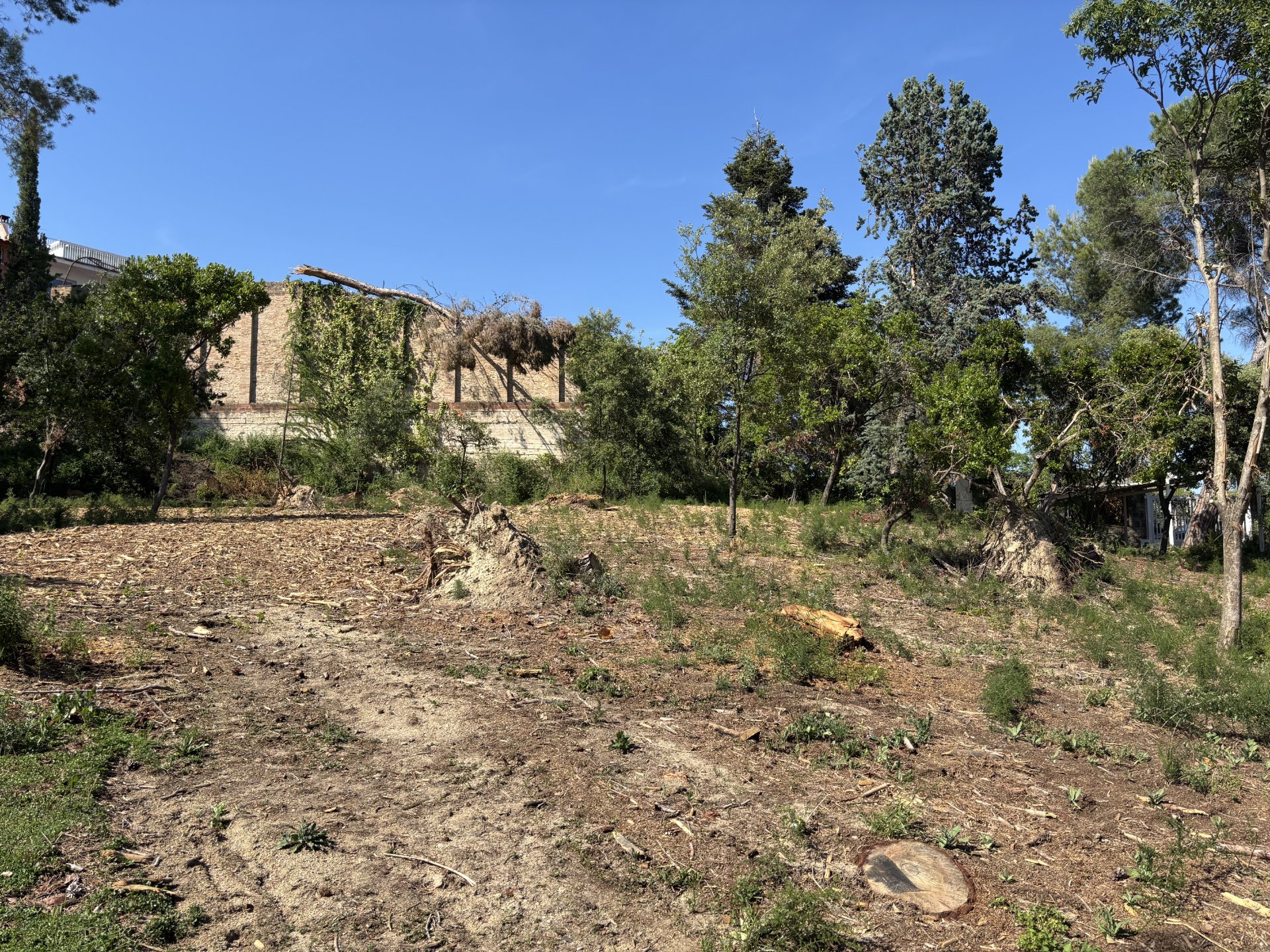 OPORTUNIDAD Chalet de lujo - Imagen 6