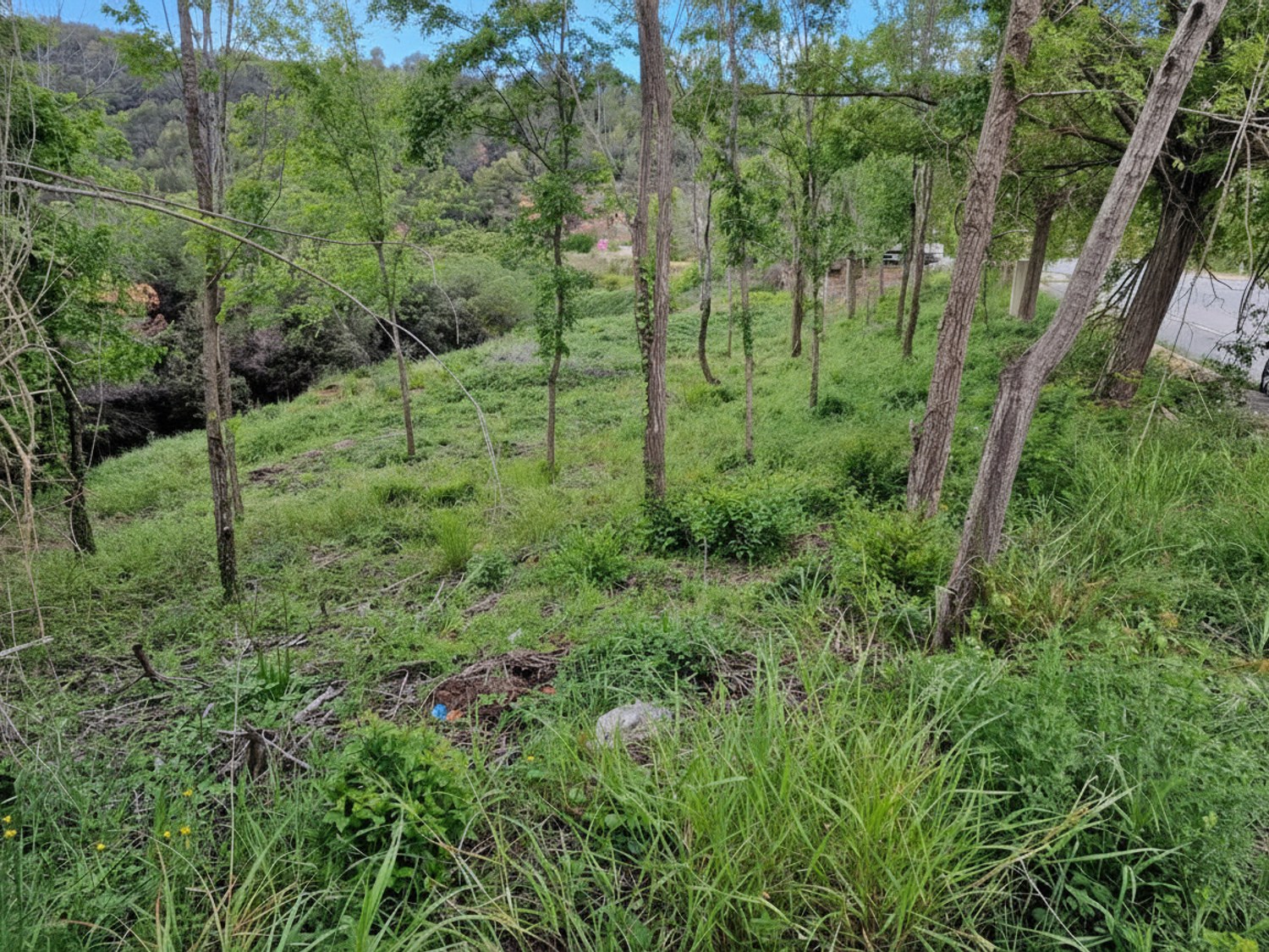 Terreno en Sant Feliu de Codines - Imagen 4