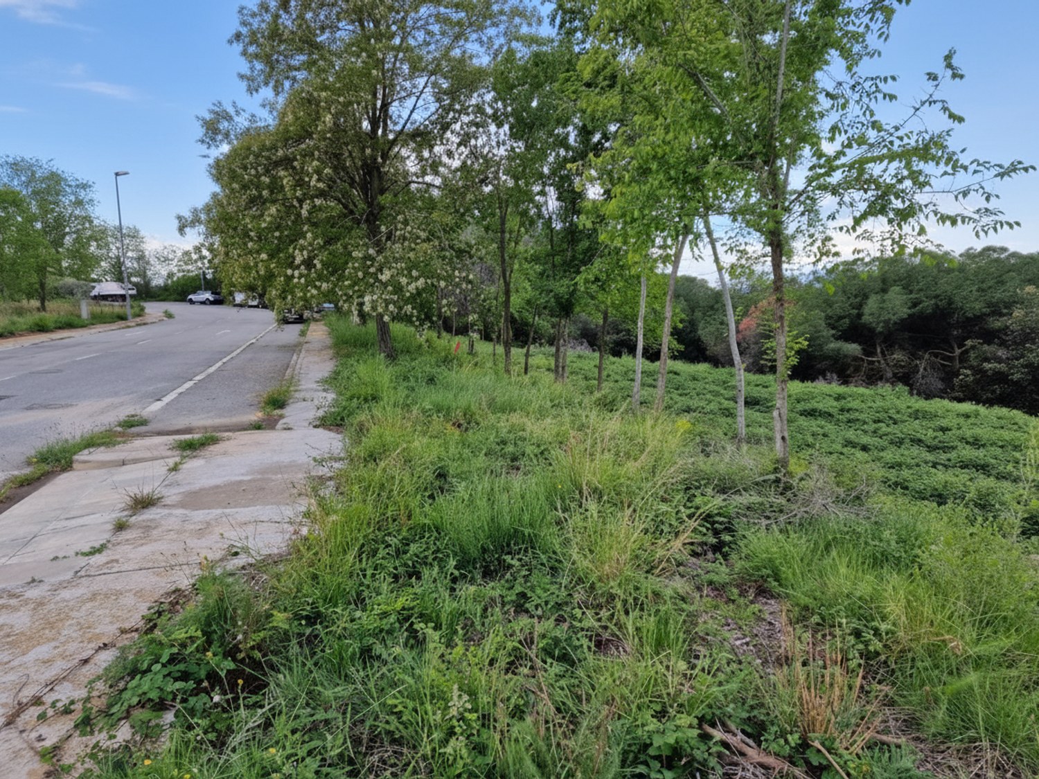 Terreno en Sant Feliu de Codines - Imagen 1